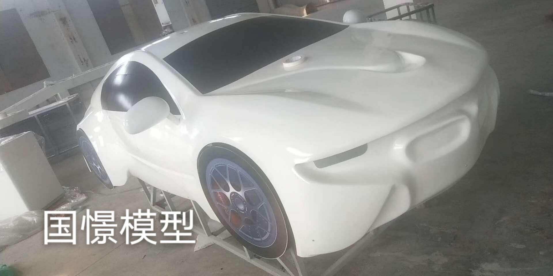 申扎县车辆模型