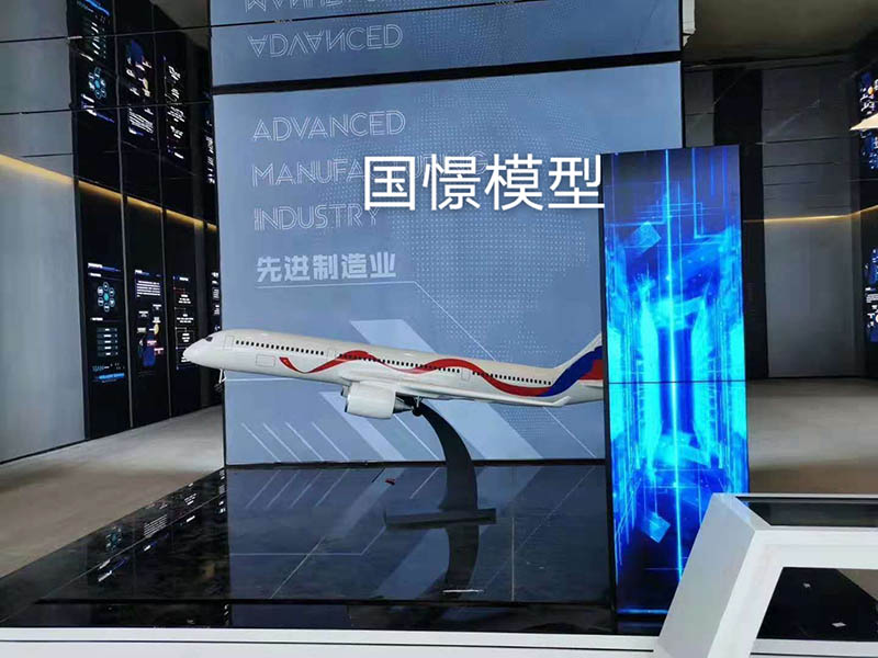 申扎县飞机模型