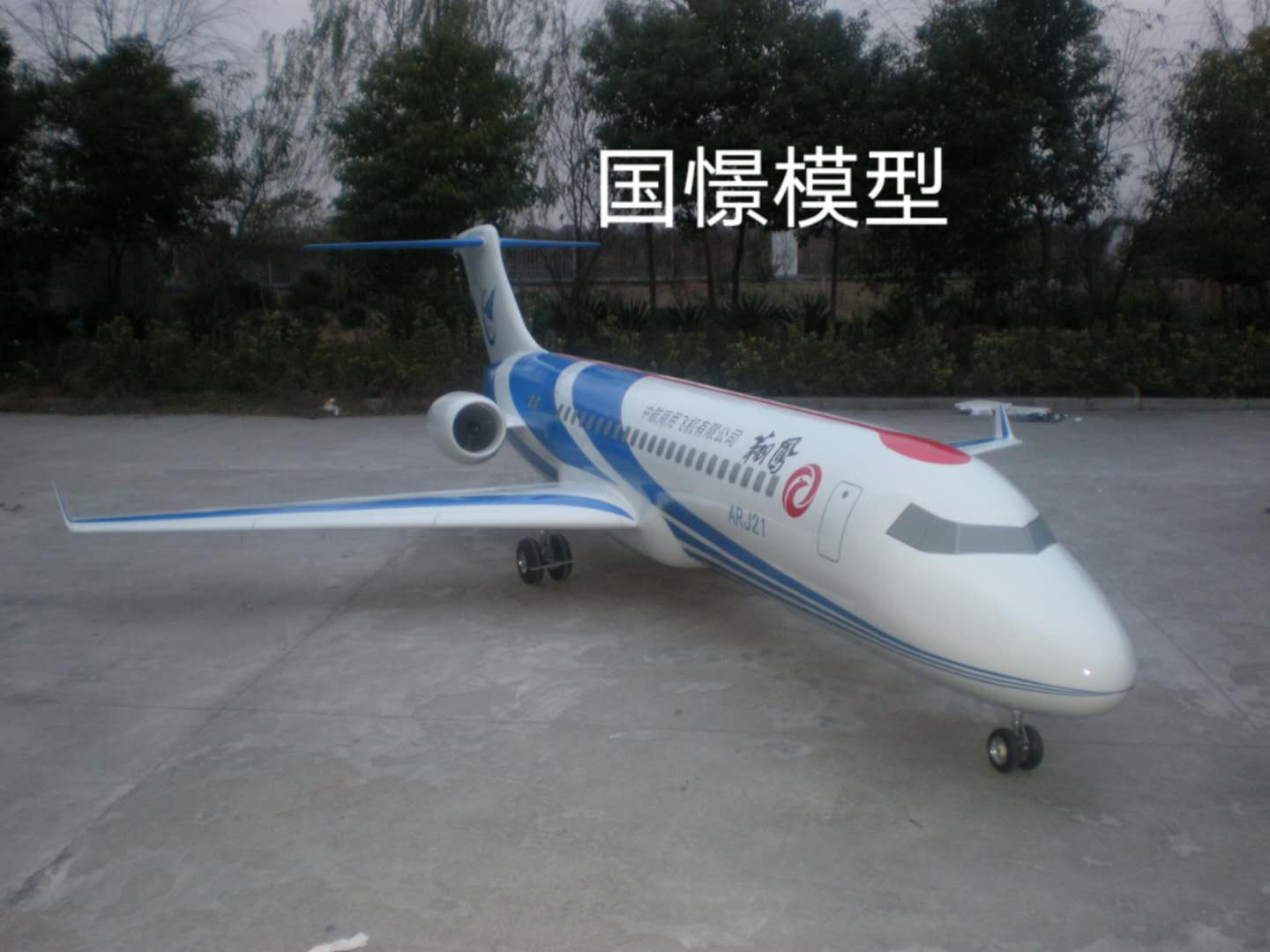 申扎县飞机模型