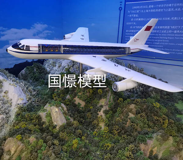 申扎县飞机模型