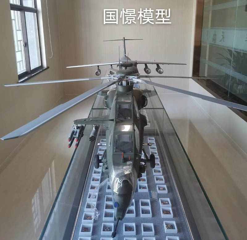 申扎县飞机模型