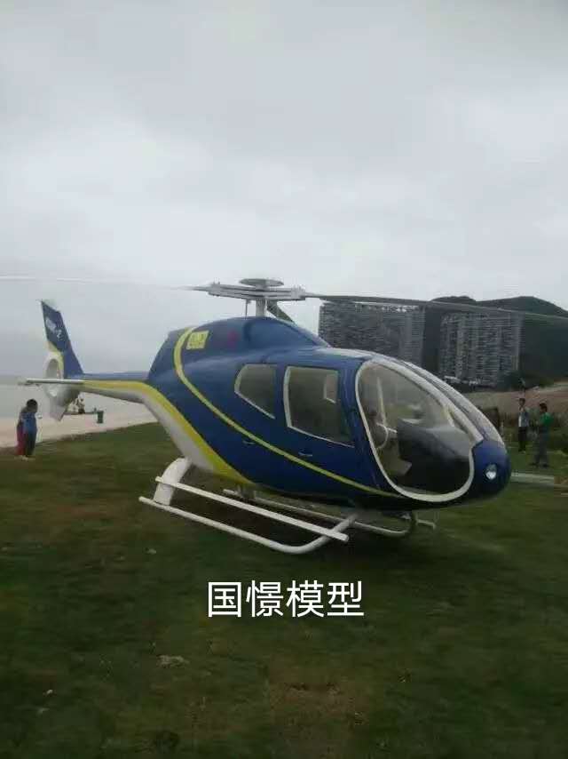 申扎县飞机模型