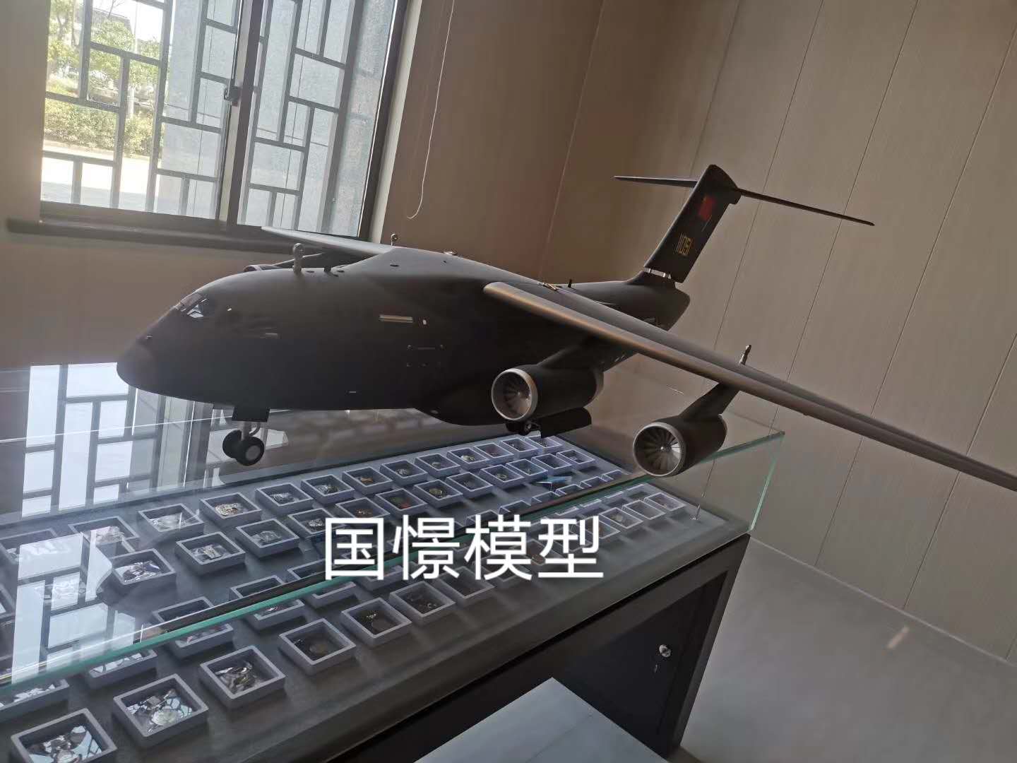 申扎县飞机模型