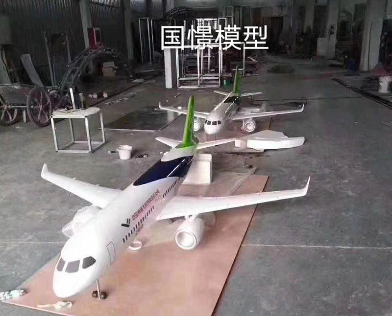 申扎县飞机模型
