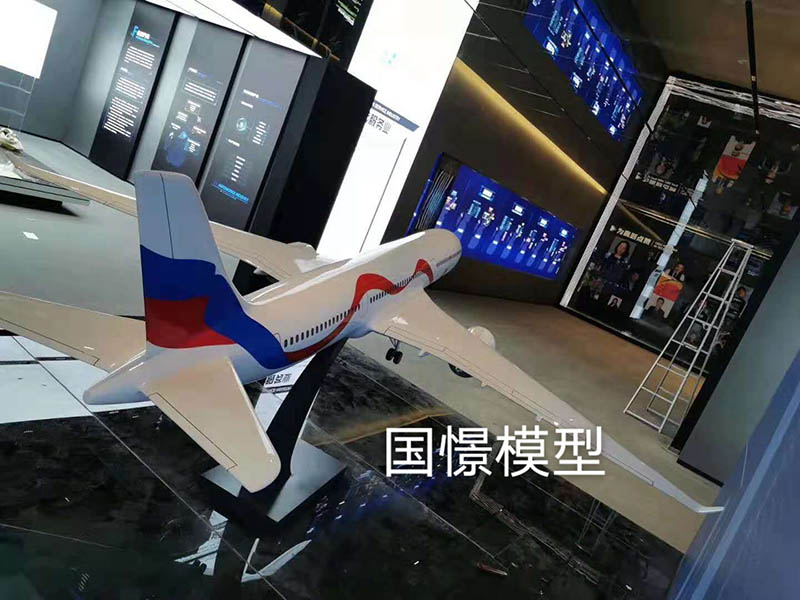 申扎县飞机模型