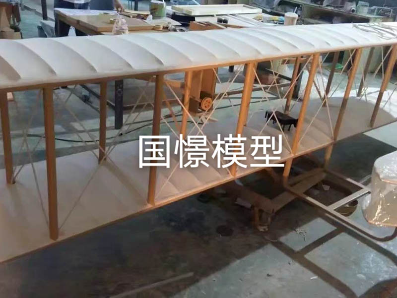 申扎县飞机模型