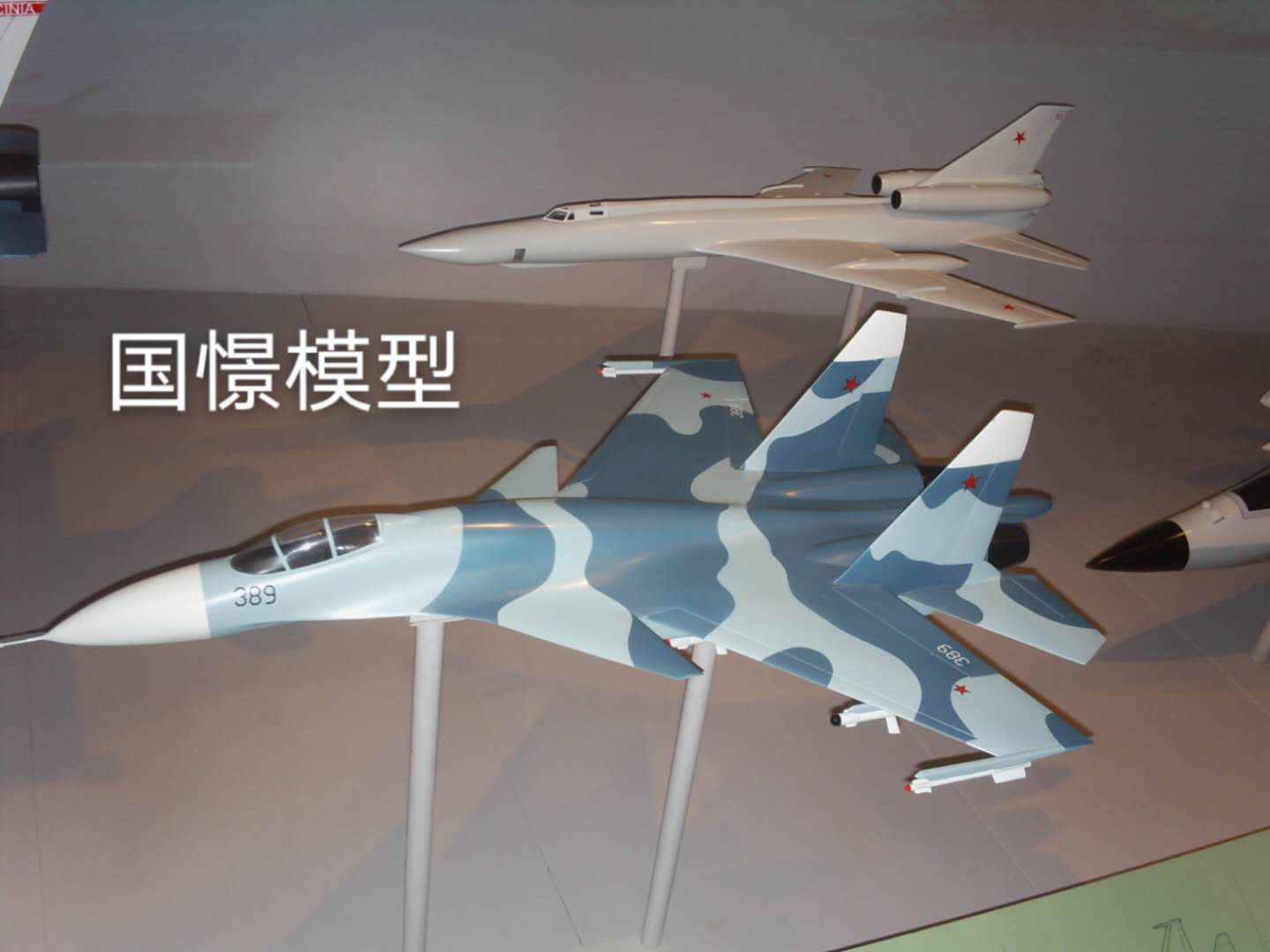 申扎县军事模型
