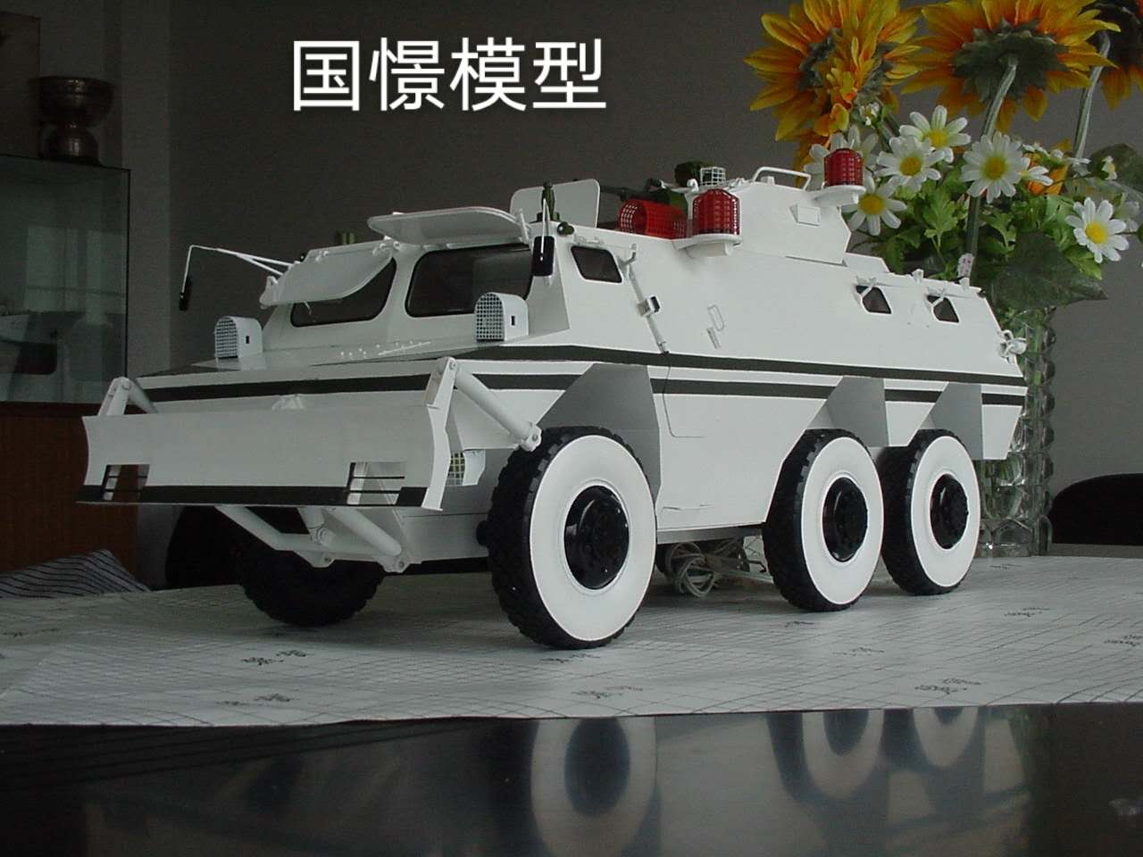 申扎县军事模型