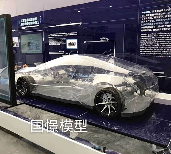 申扎县透明车模型