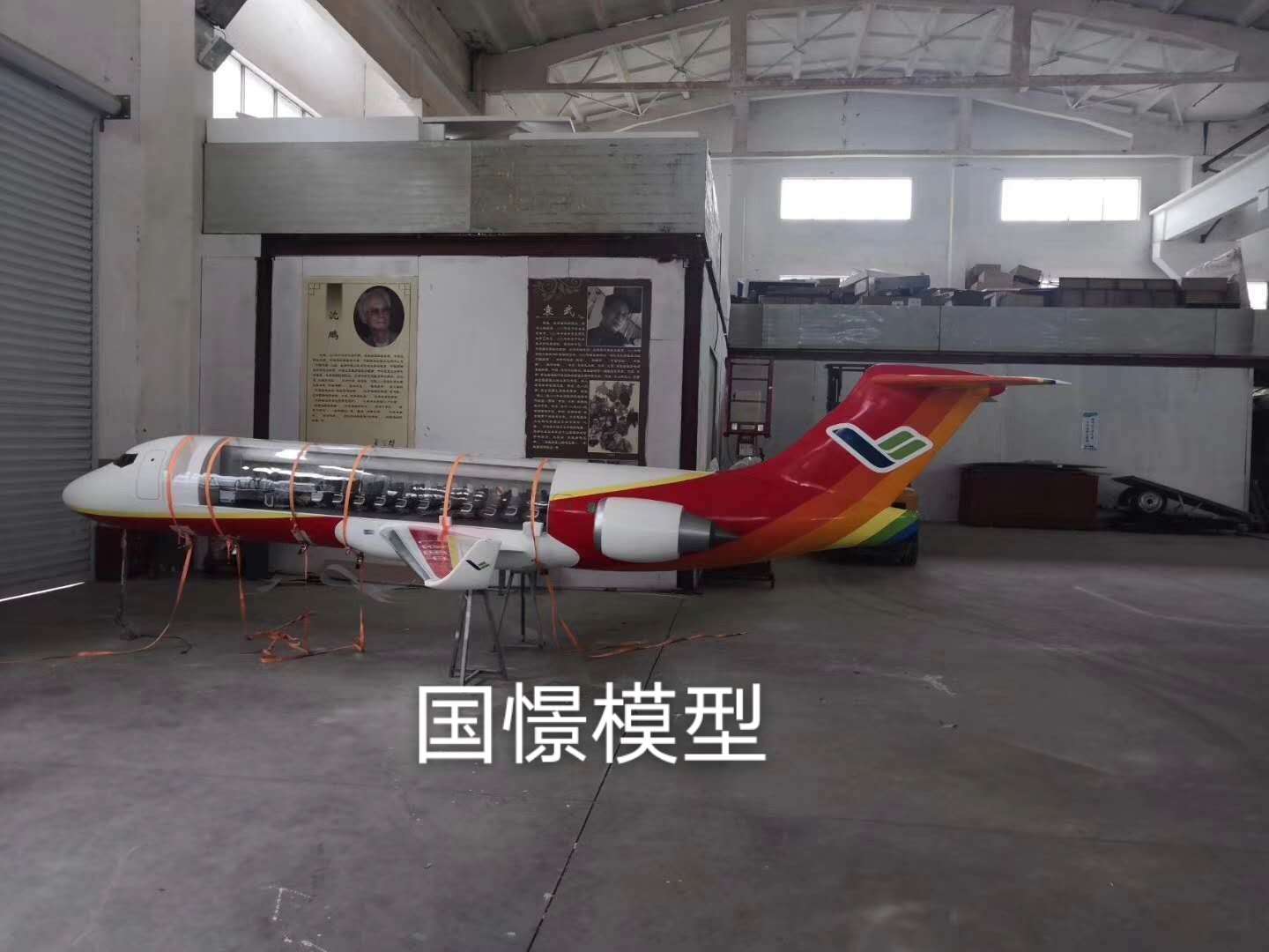 申扎县飞机模型